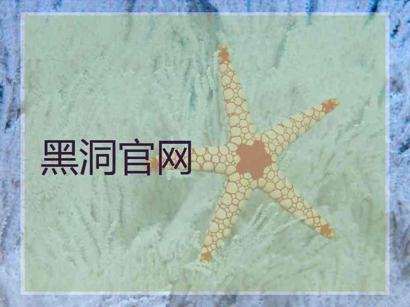 黑洞官网