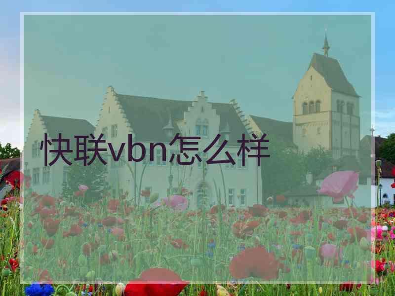 快联vbn怎么样