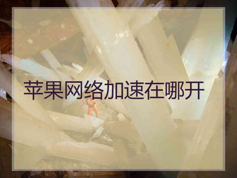 苹果网络加速在哪开