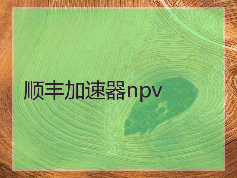 顺丰加速器npv