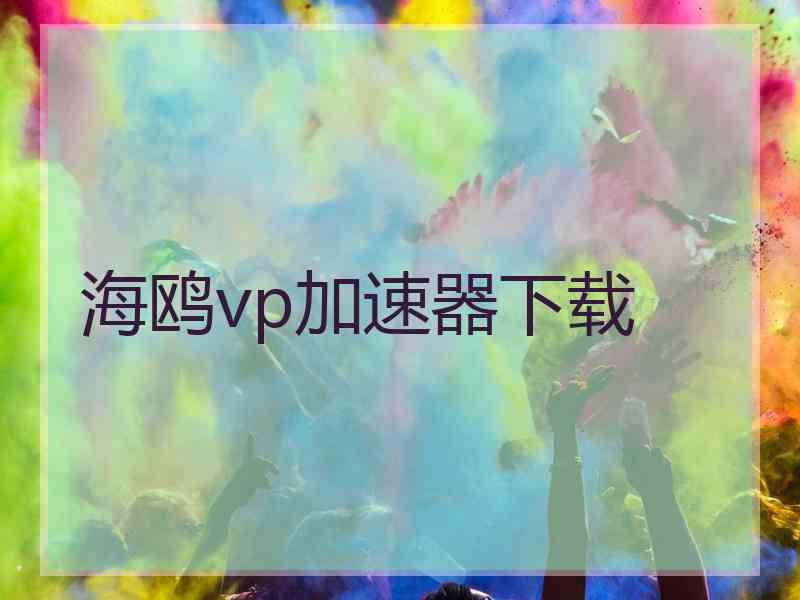 海鸥vp加速器下载