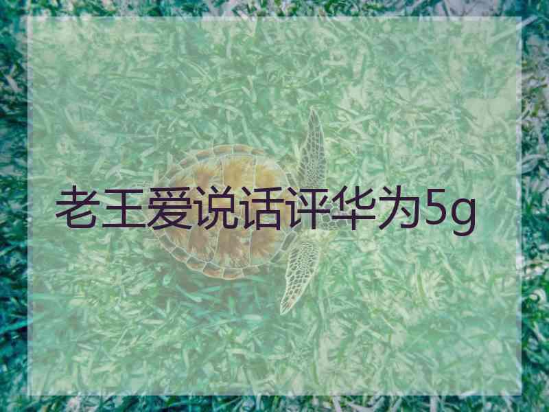 老王爱说话评华为5g
