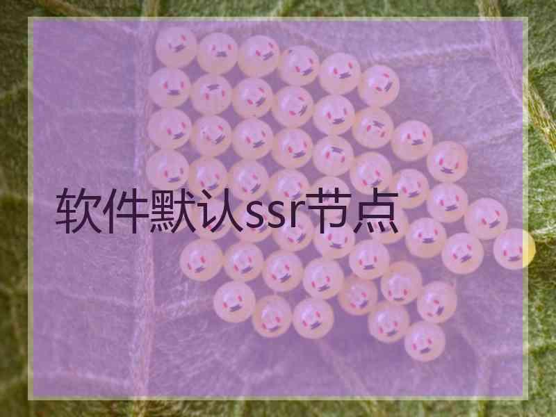 软件默认ssr节点