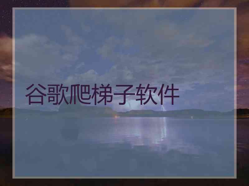 谷歌爬梯子软件