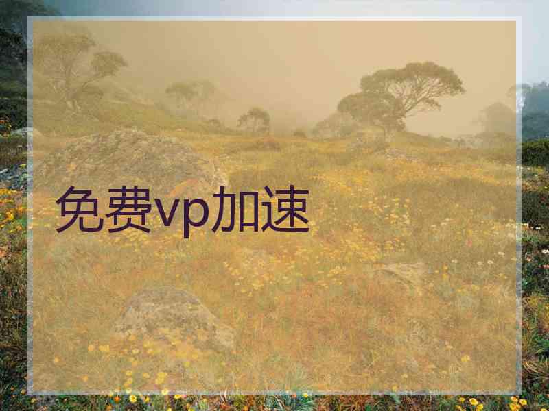 免费vp加速