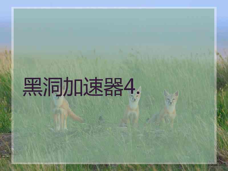 黑洞加速器4.