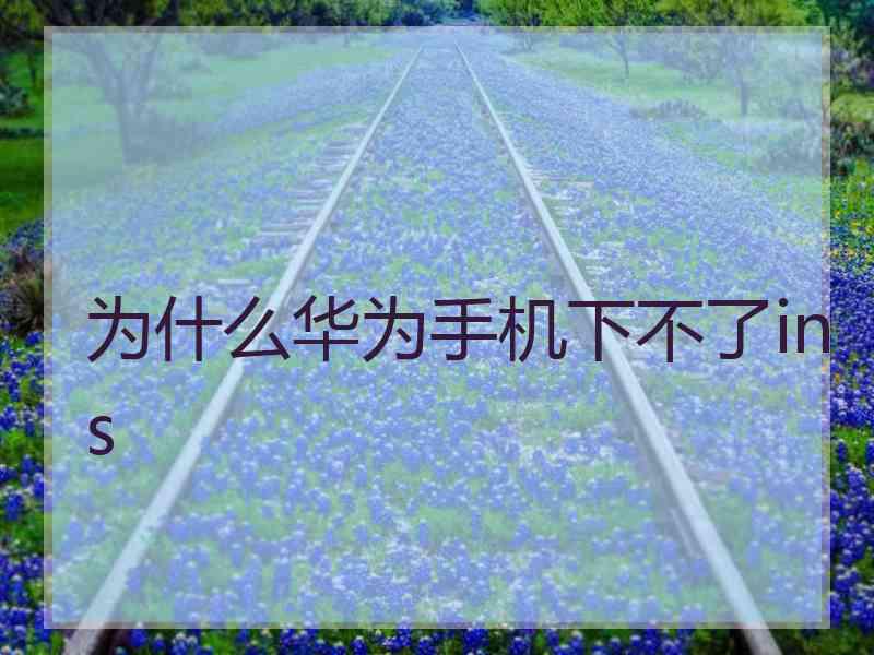 为什么华为手机下不了ins