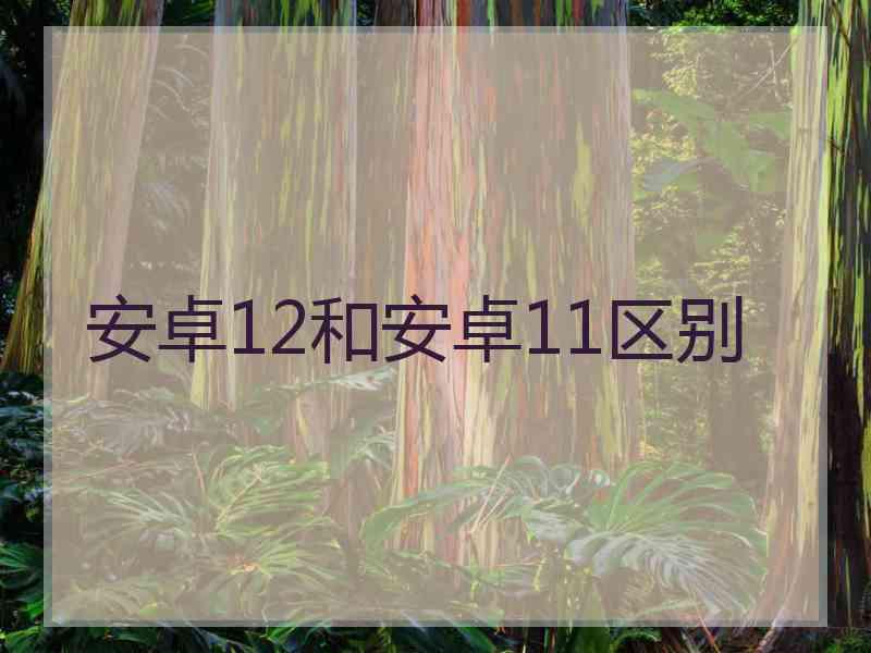 安卓12和安卓11区别