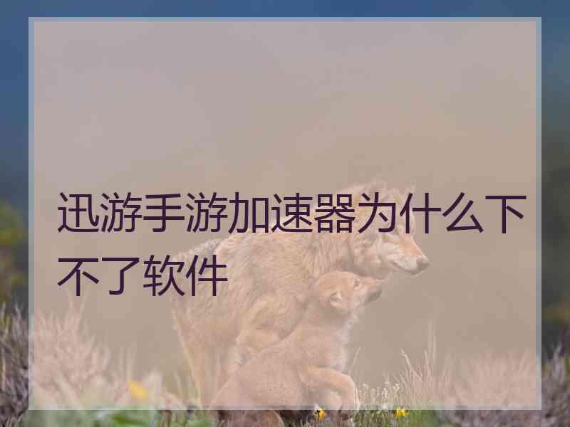 迅游手游加速器为什么下不了软件