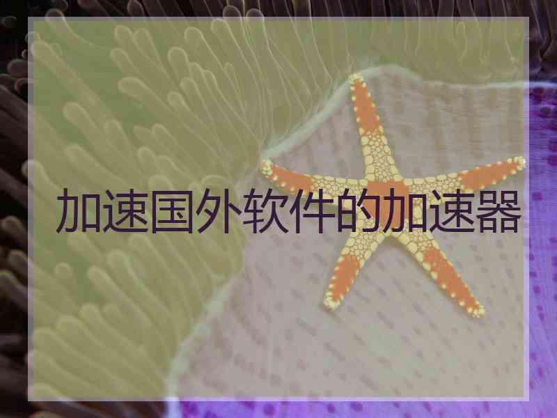 加速国外软件的加速器