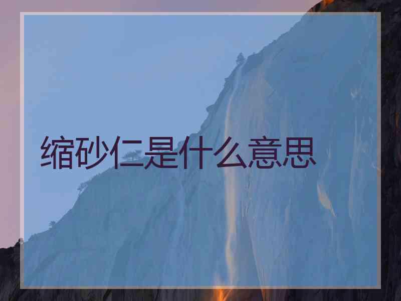 缩砂仁是什么意思