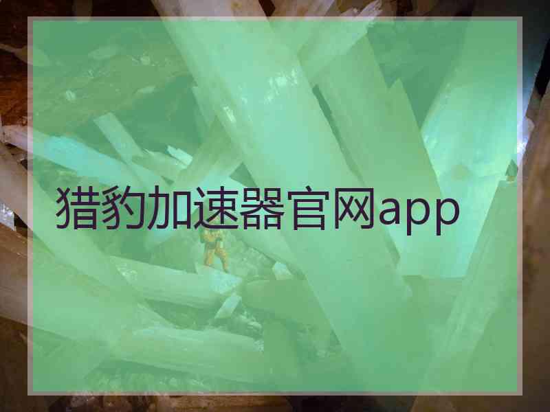 猎豹加速器官网app