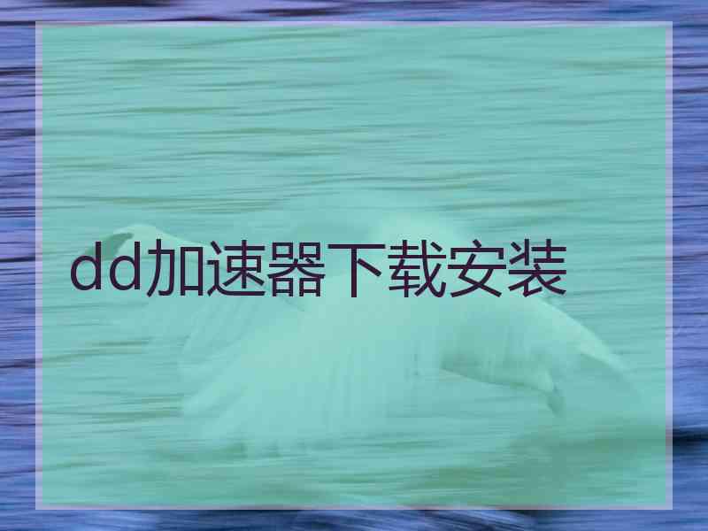 dd加速器下载安装