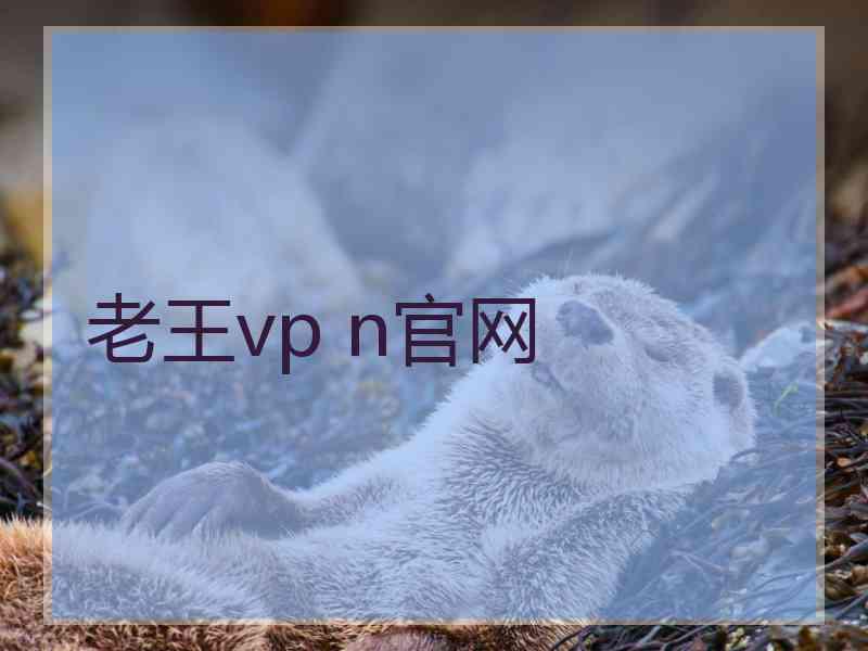 老王vp n官网