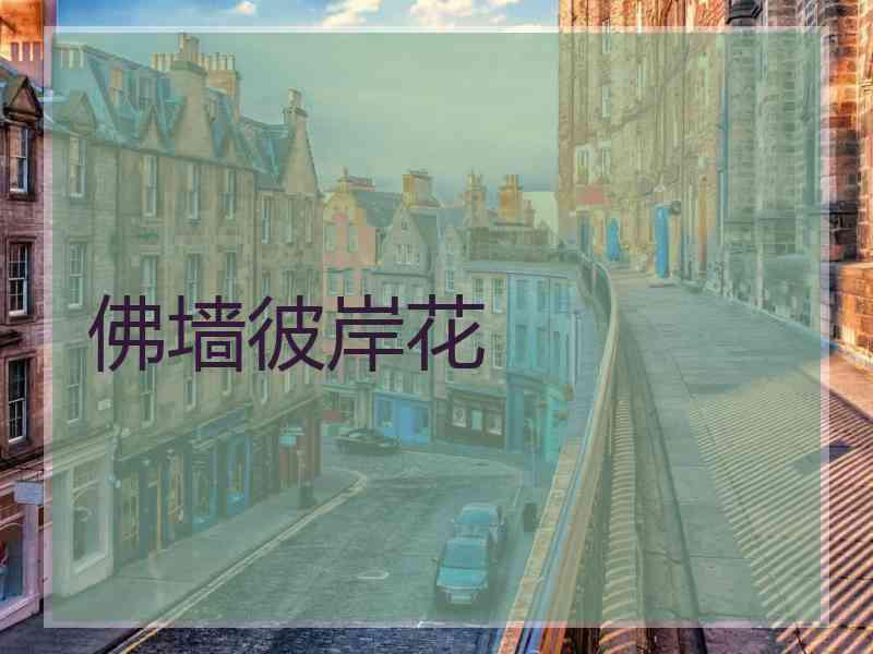 佛墙彼岸花