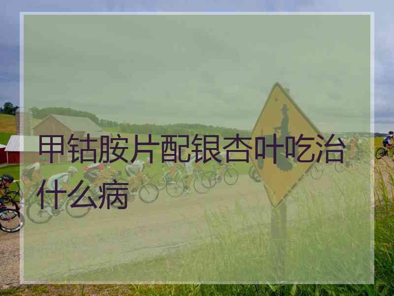甲钴胺片配银杏叶吃治什么病