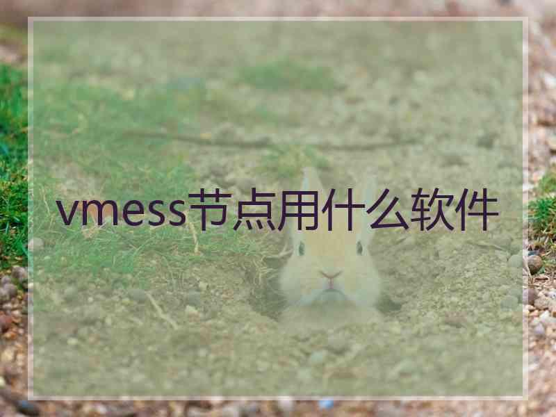 vmess节点用什么软件