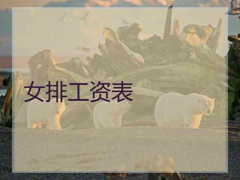 女排工资表