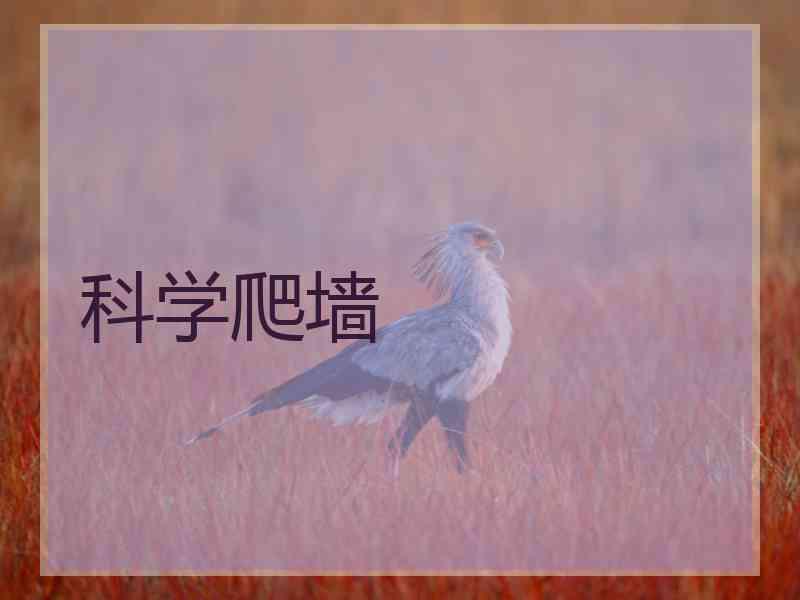 科学爬墙
