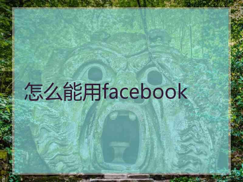 怎么能用facebook