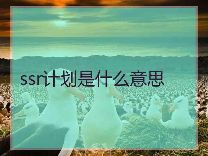 ssr计划是什么意思