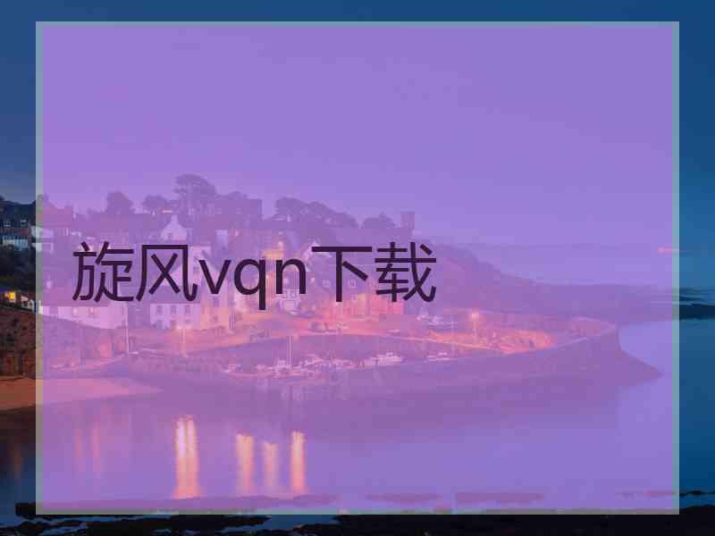 旋风vqn下载