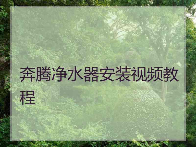 奔腾净水器安装视频教程