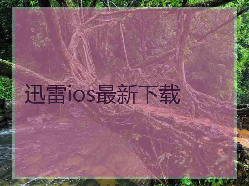 迅雷ios最新下载