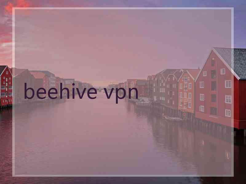 beehive vpn