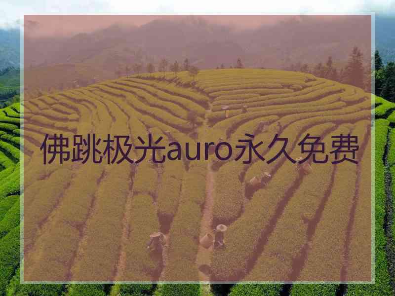 佛跳极光auro永久免费