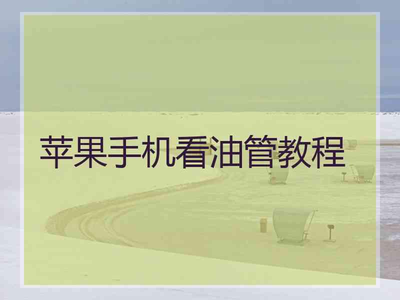苹果手机看油管教程