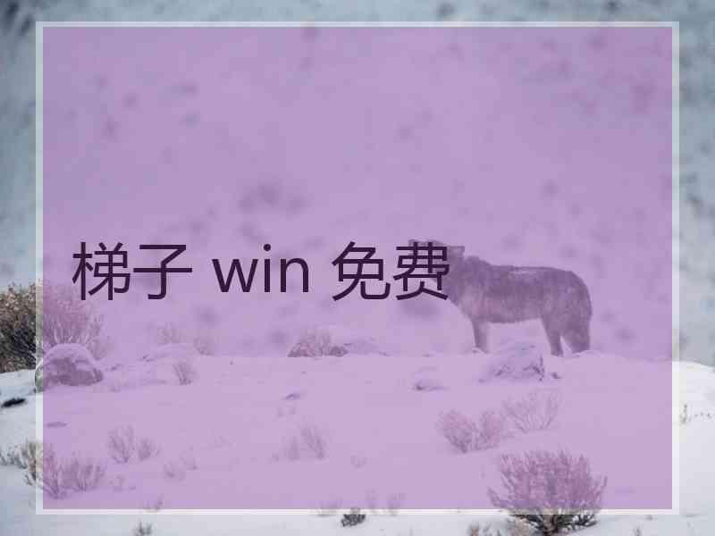 梯子 win 免费
