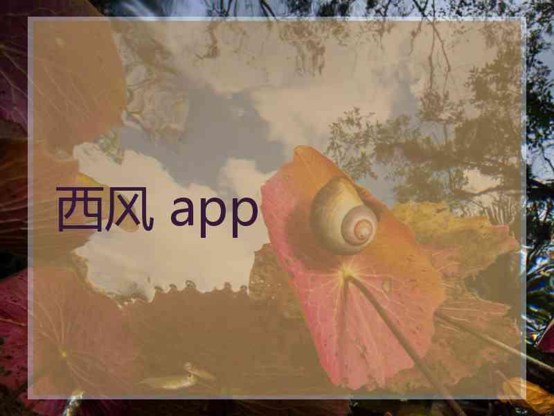 西风 app