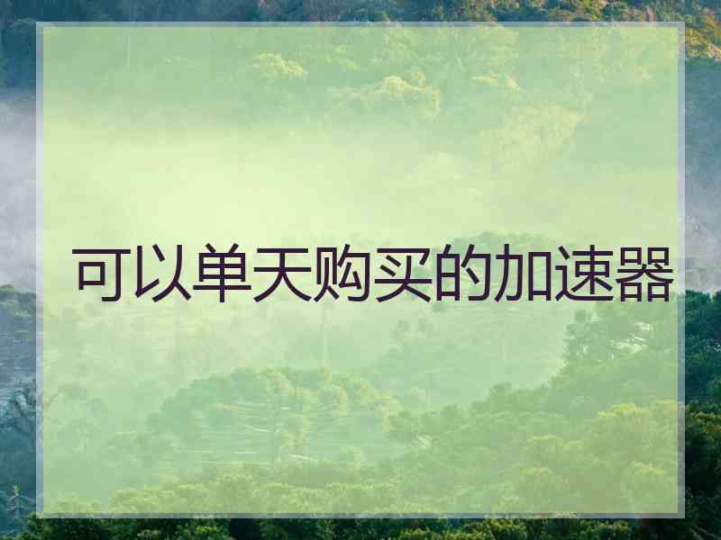可以单天购买的加速器