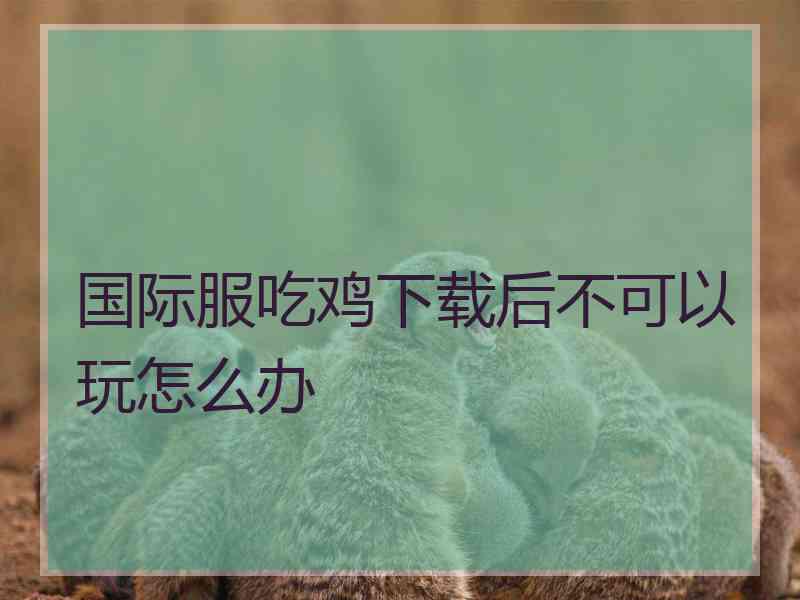 国际服吃鸡下载后不可以玩怎么办