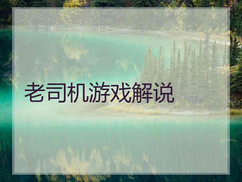 老司机游戏解说