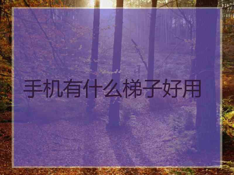 手机有什么梯子好用