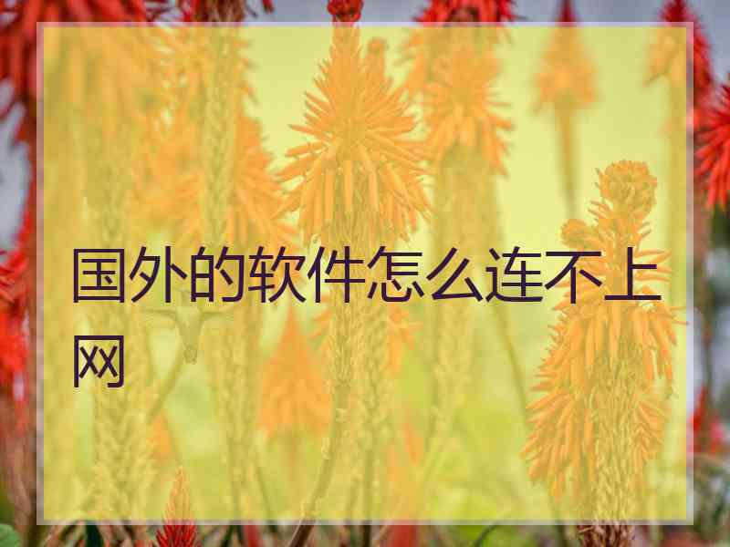 国外的软件怎么连不上网