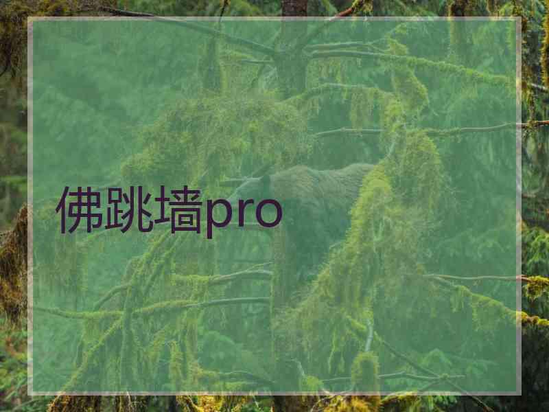 佛跳墙pro