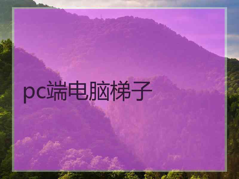 pc端电脑梯子