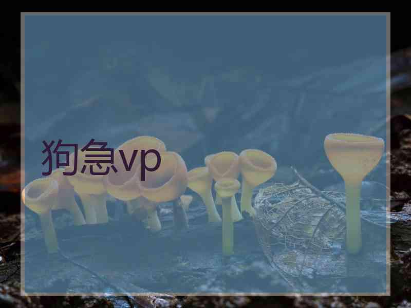 狗急vp