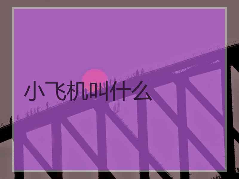 小飞机叫什么