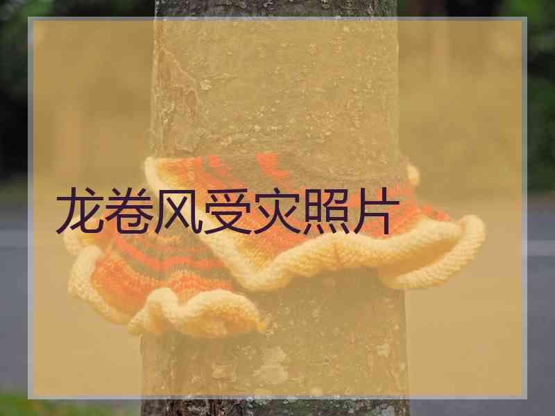 龙卷风受灾照片