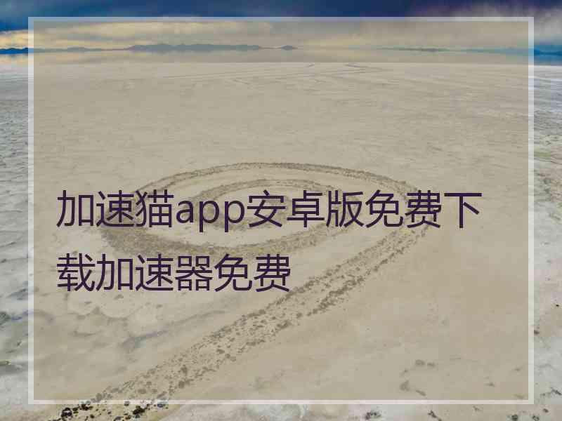 加速猫app安卓版免费下载加速器免费