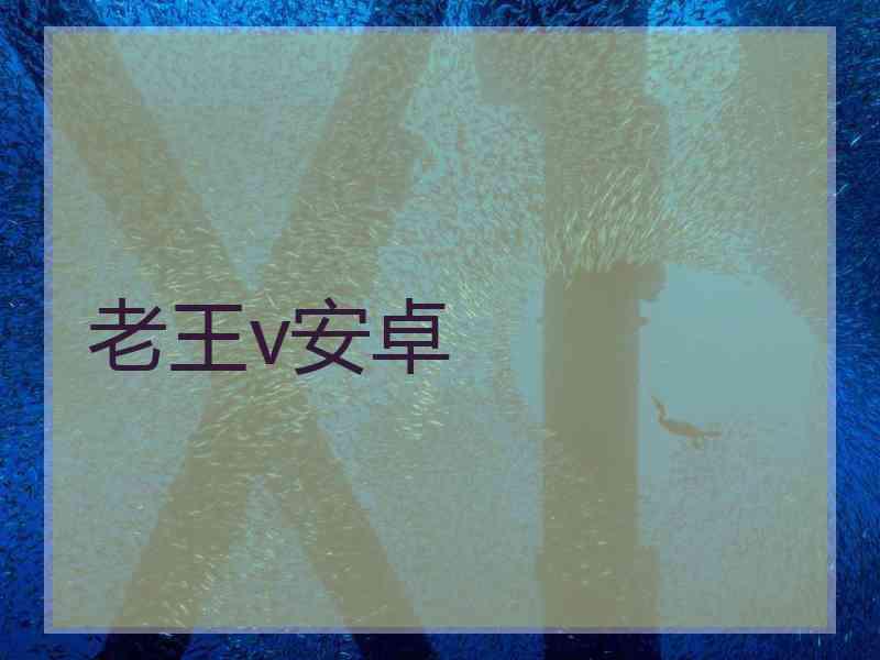 老王v安卓