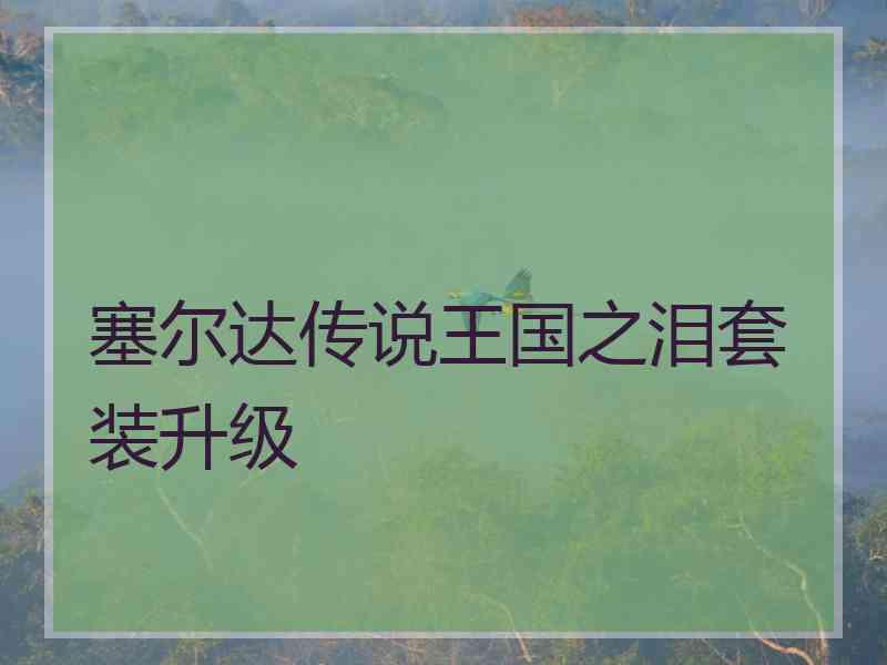 塞尔达传说王国之泪套装升级