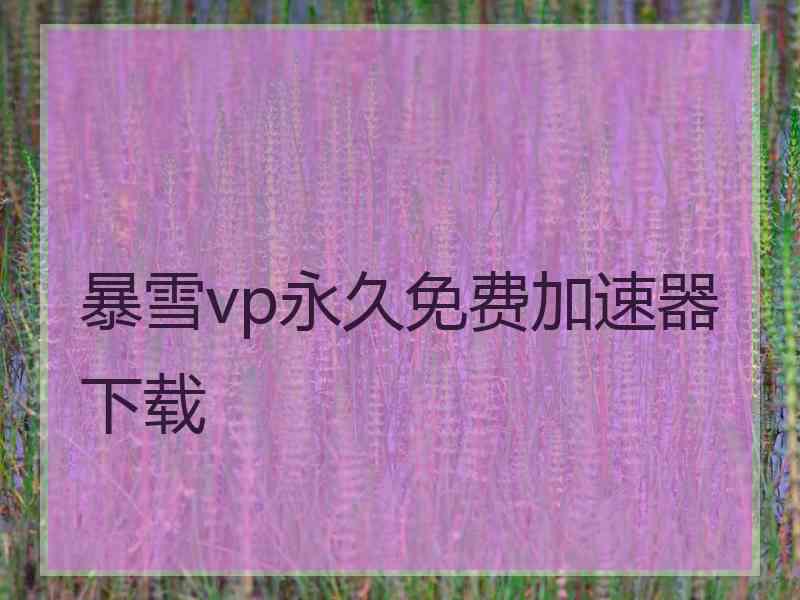 暴雪vp永久免费加速器下载