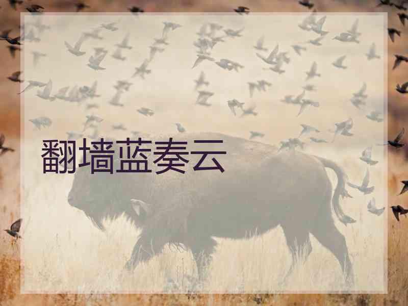 翻墙蓝奏云
