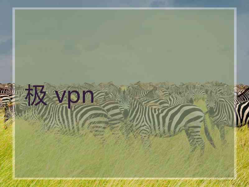 极 vpn