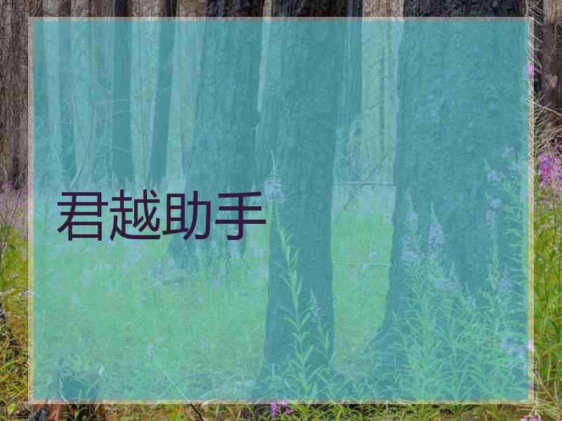 君越助手